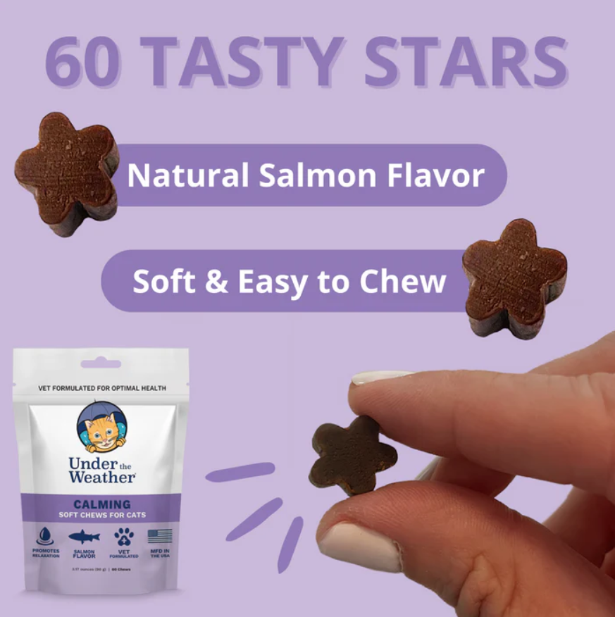 Calming Soft Chews for Cats Under the Weather