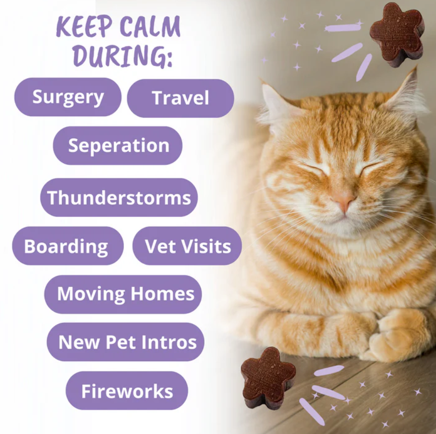 Calming Soft Chews for Cats Under the Weather