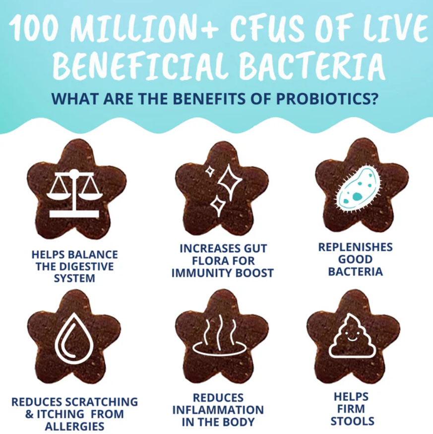 Probiotic Soft Chews for Cats