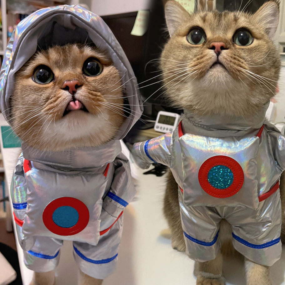 Astronaut Dog or Cat Cosplay