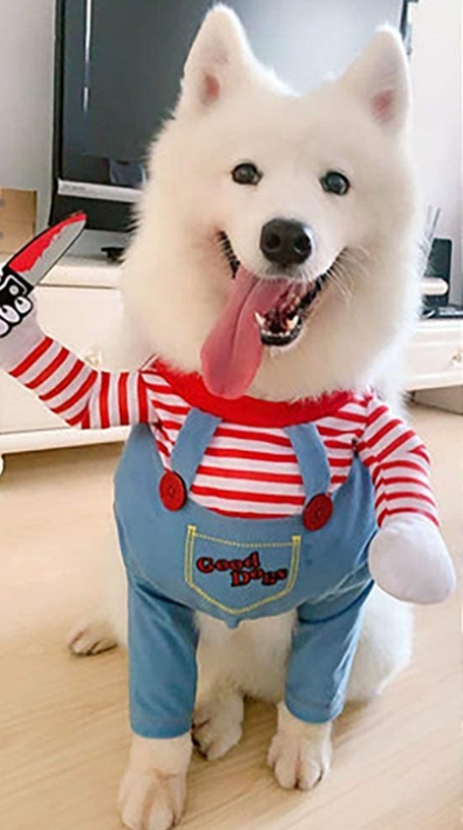 Dog Good Killer Cosplay