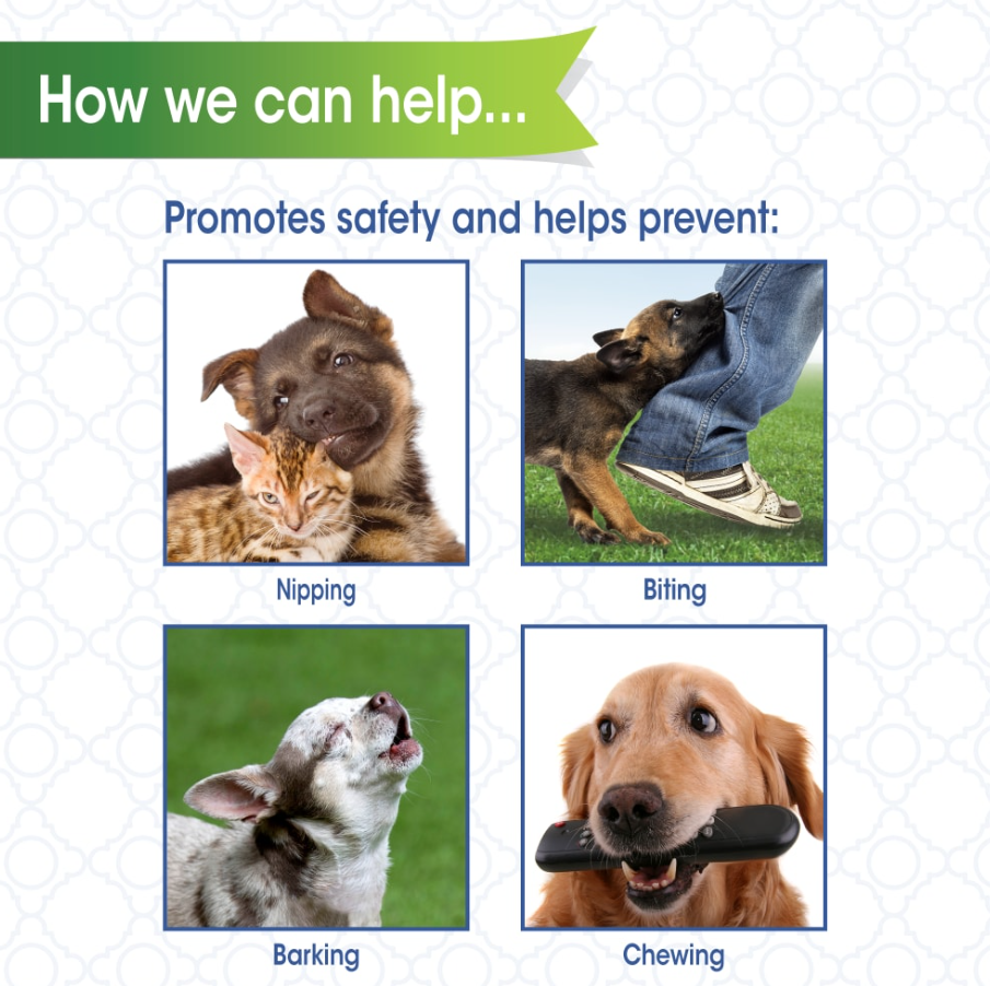 Four Paws Quick-Fit Dog Muzzle
