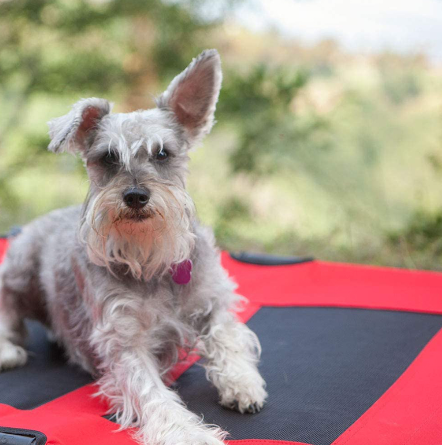 Dog Bead PVC (Camas para Perros o Gatos en PVC)