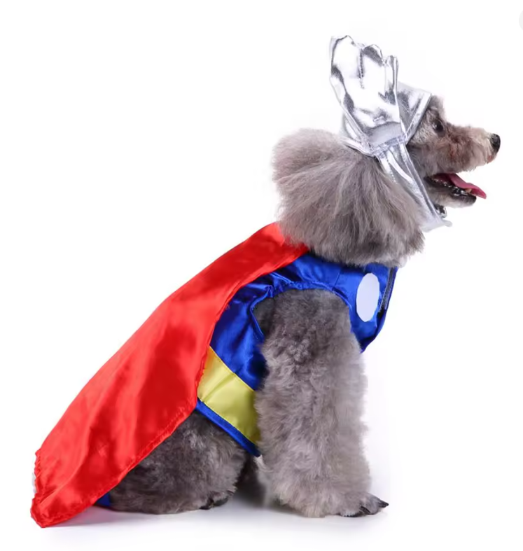Thunder Dog Costume Disfraz