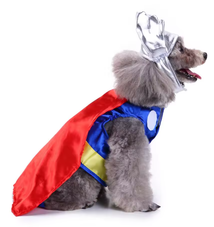 Thunder Dog Costume Disfraz