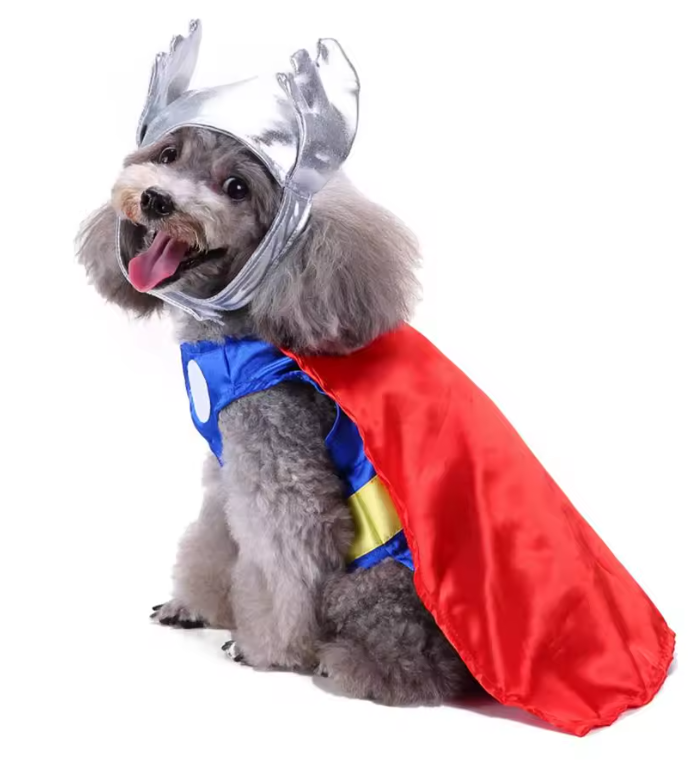Thunder Dog Costume Disfraz
