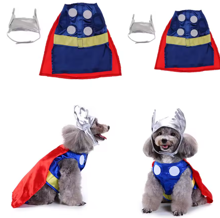 Thunder Dog Costume Disfraz