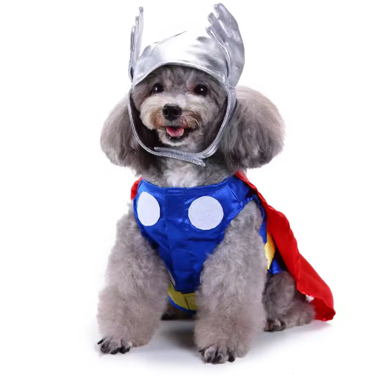 Thunder Dog Costume Disfraz