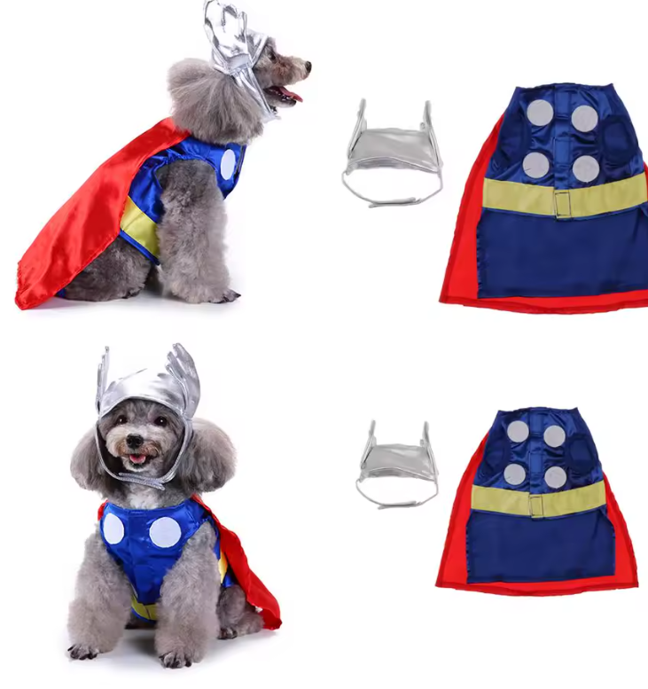 Thunder Dog Costume Disfraz
