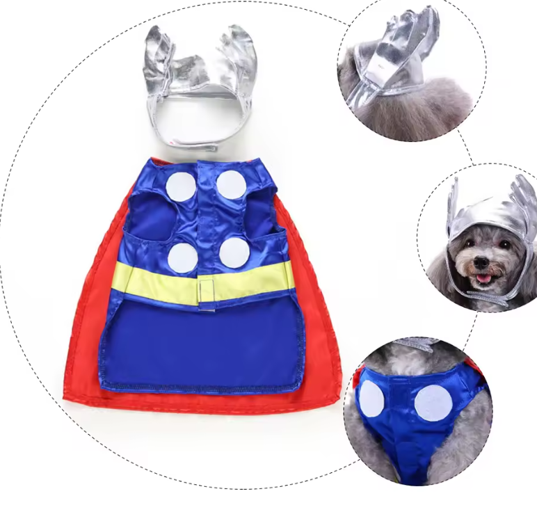 Thunder Dog Costume Disfraz