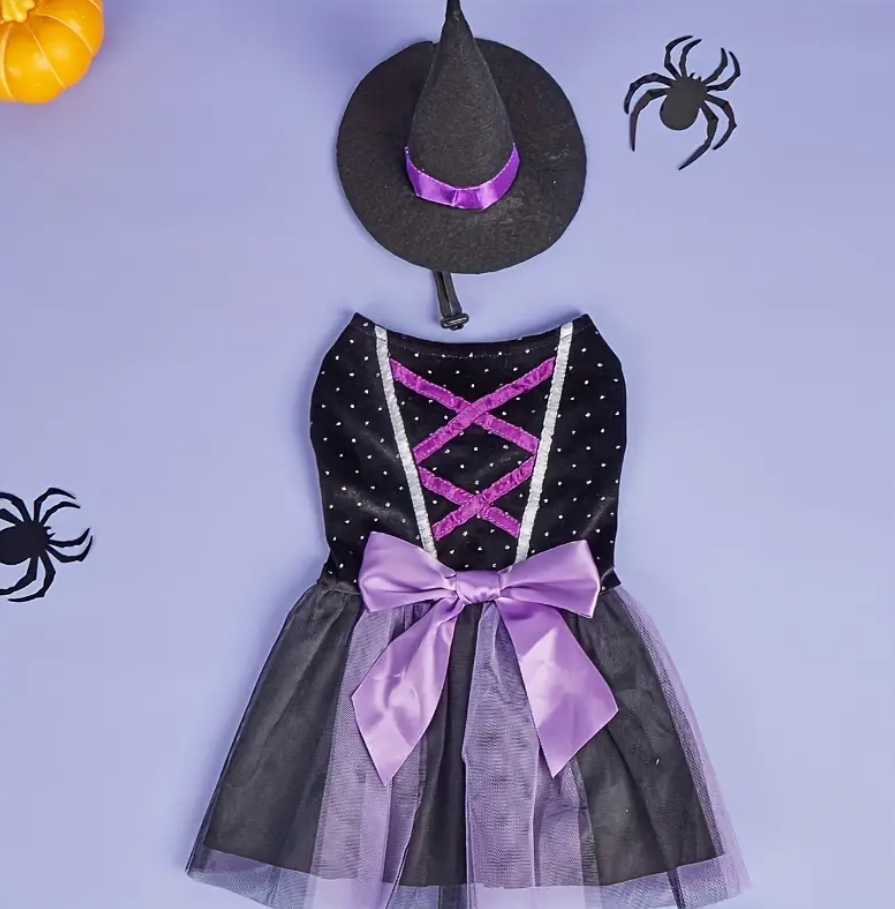 Purple Witch Costumes