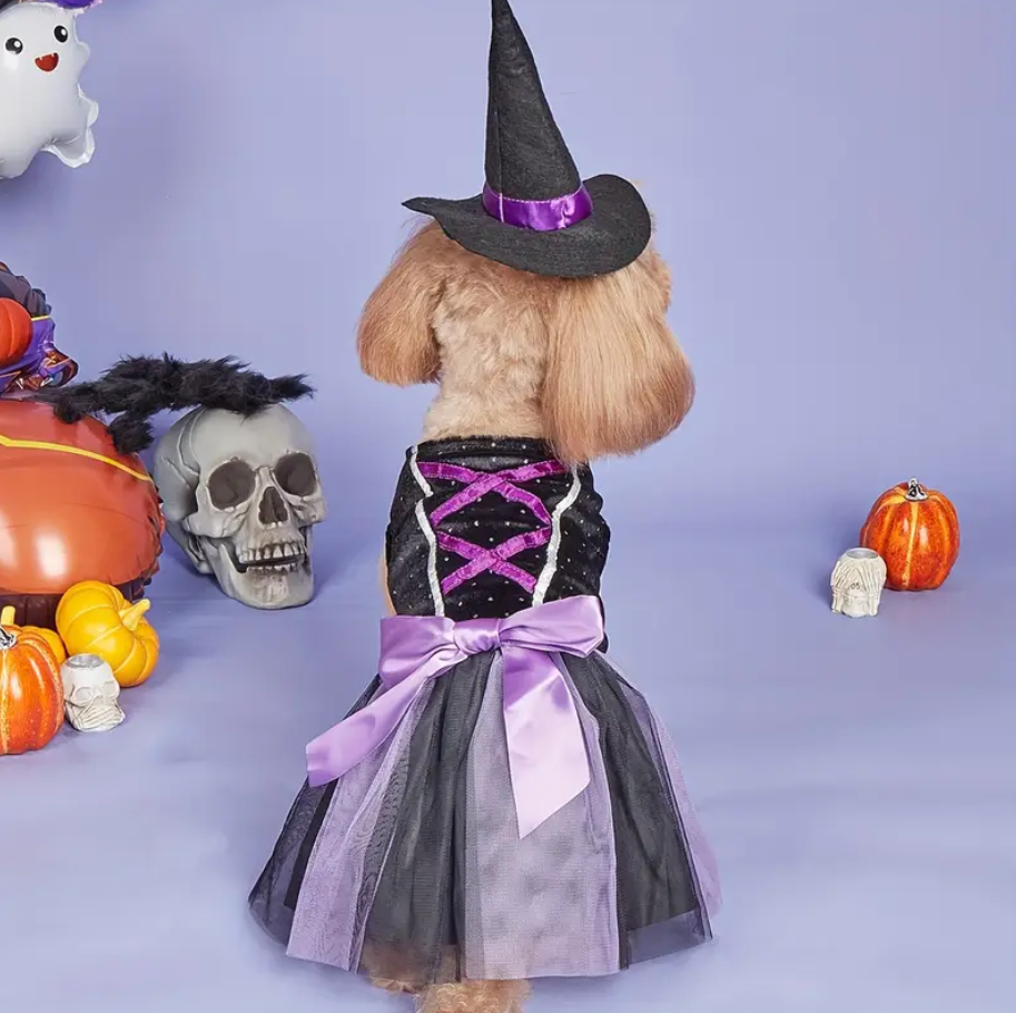 Purple Witch Costumes
