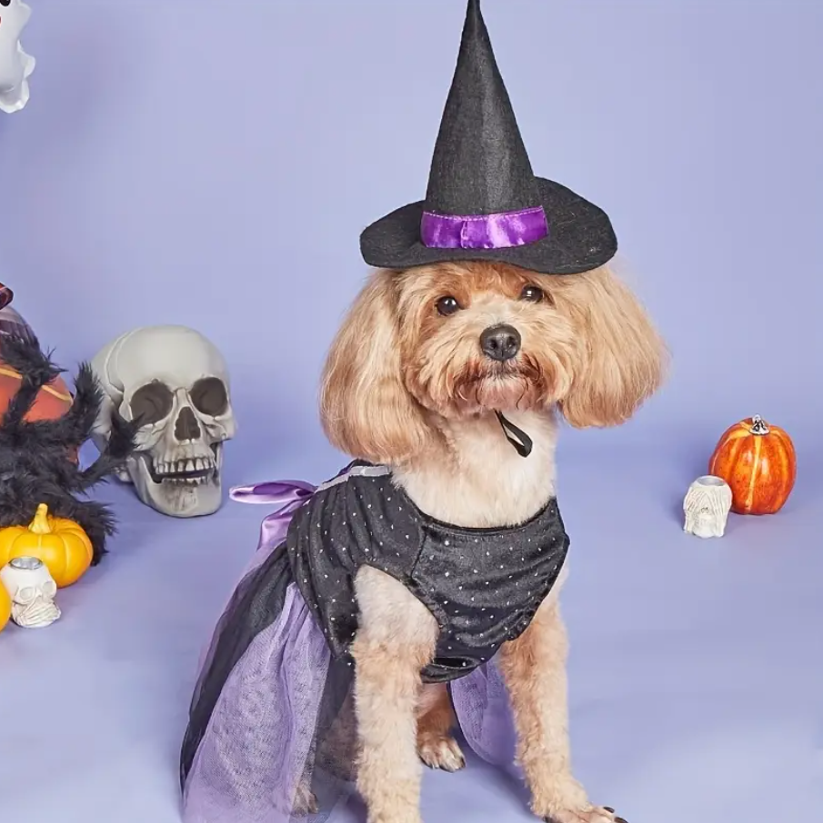 Purple Witch Costumes