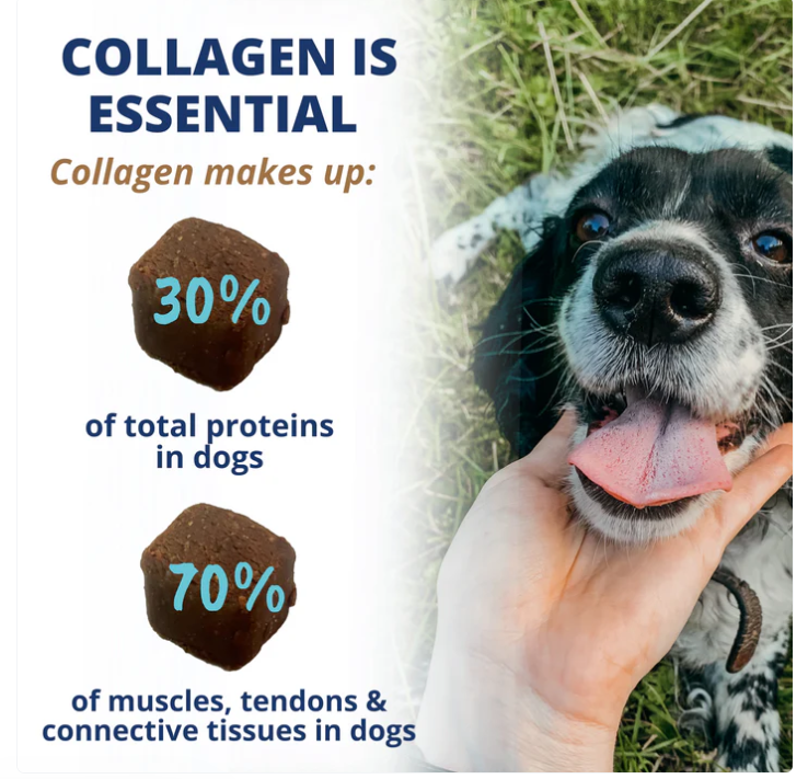 Under the Weather Collagen Soft Chews For Dogs