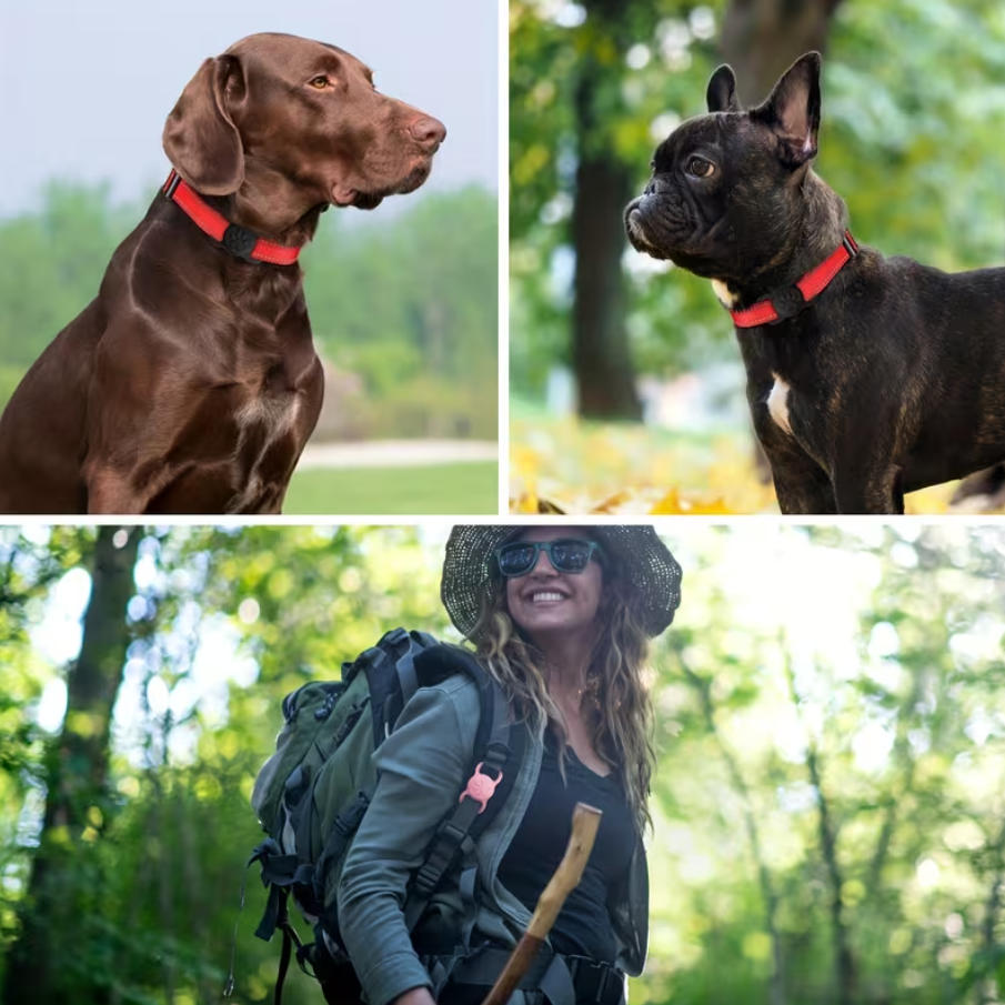 AirTag Cover for Dog or Cat Collars Paw