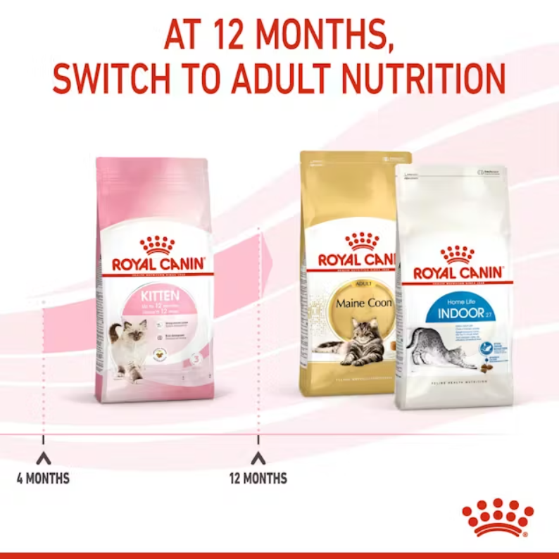 Kitten Dry Cat Food