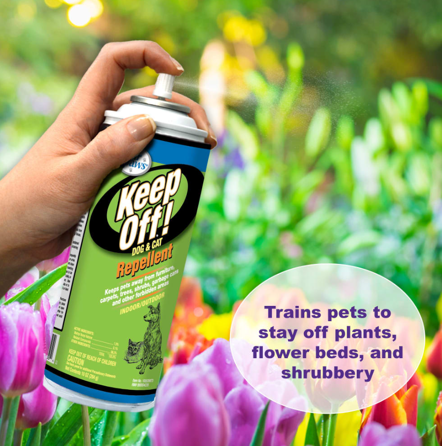 Keep Off! Dog and Cat Repellent Outdoors & Indoors Spray
