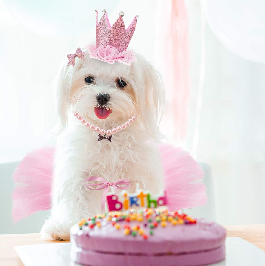 Princess B Day Pawtty