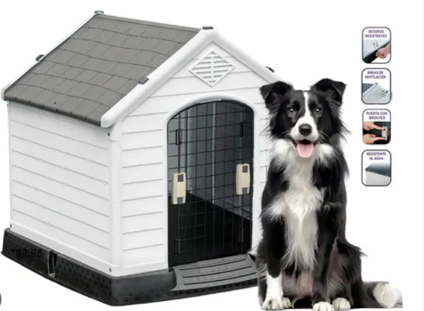 Dog House