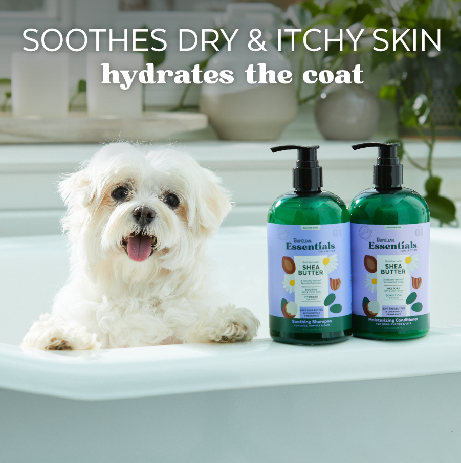 Shea Butter Soothing Shampoo for Dogs, Puppies & Cats - Mascotito PR
