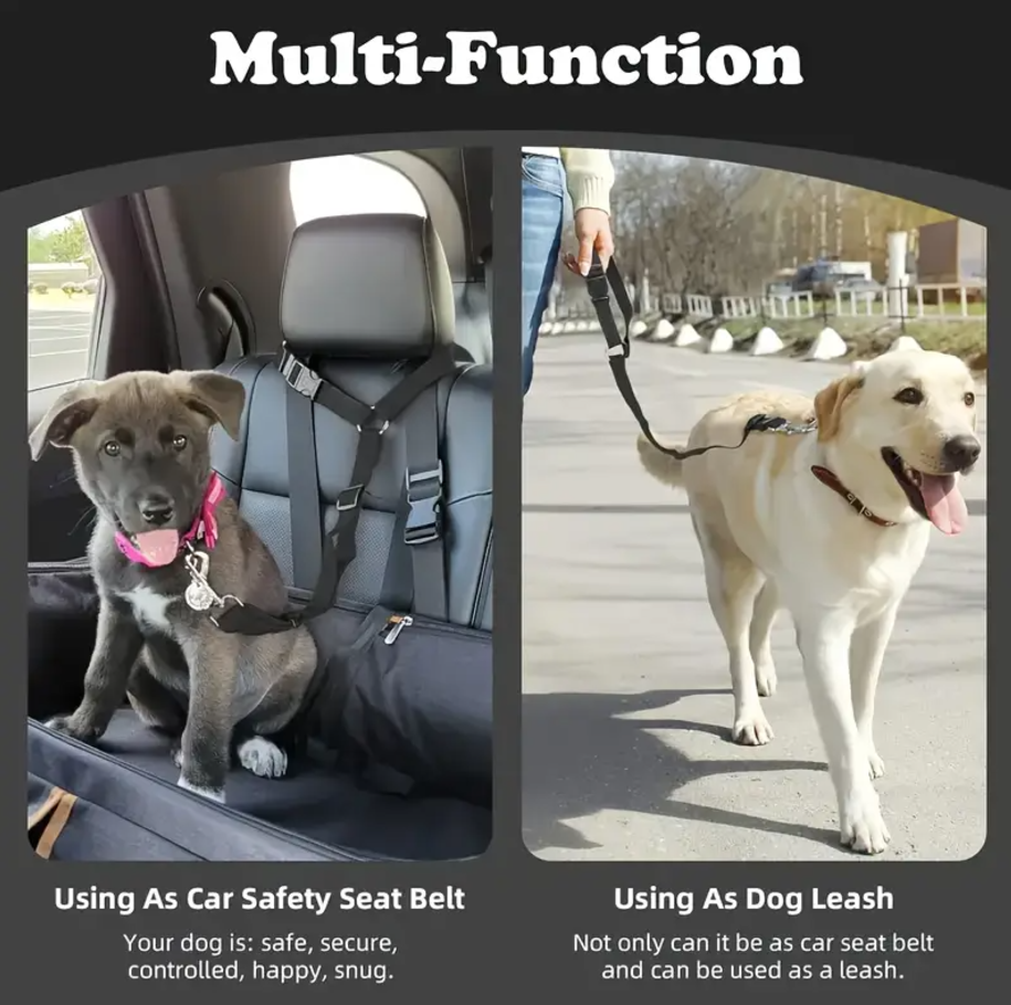 Cinturon de Seguridad para Perros y Gatos - Mascotito PR