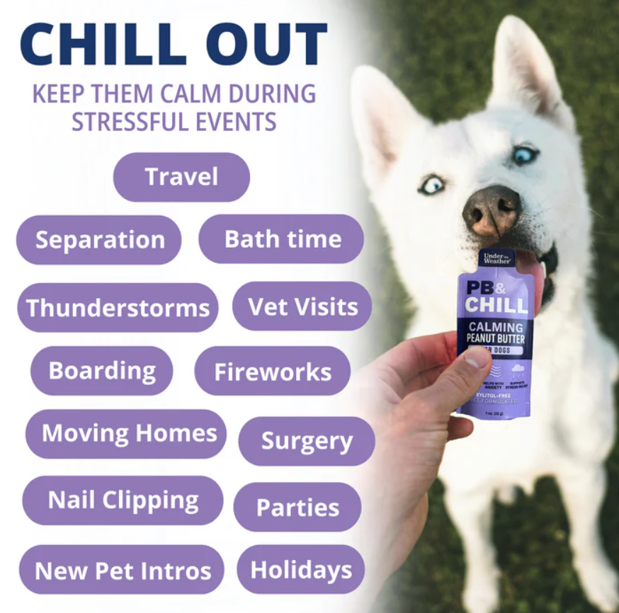 UNDER THE WEATHER PB&CHILL CALMING PEANUT BUTTER FOR DOGS
