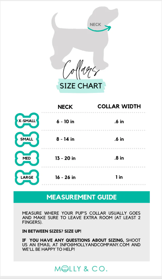 Bolt - Adjustable Dog Collar