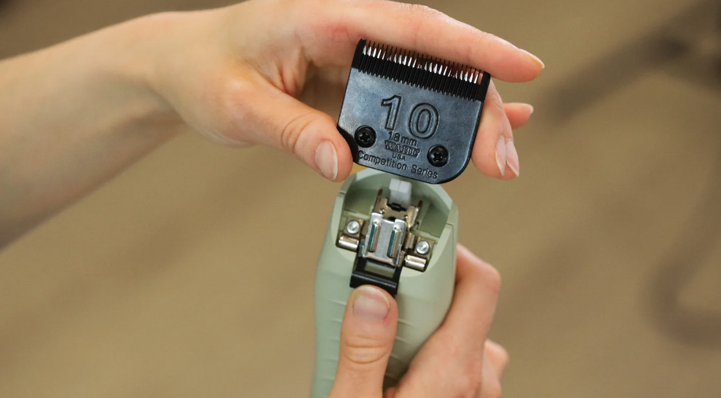 WAHL KMC+ 2-SPEED CORDLESS CLIPPER - SAGE