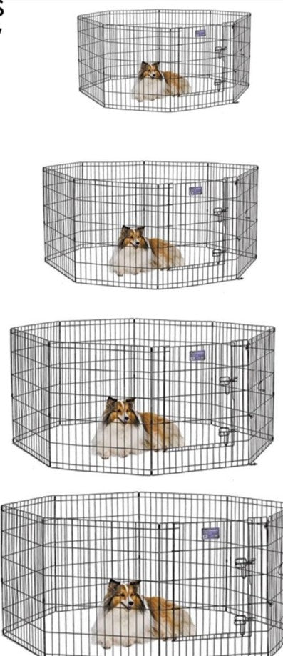 Pet Dog Cage Stainless Steel Dog Crate Heavy Duty - Mascotito PR