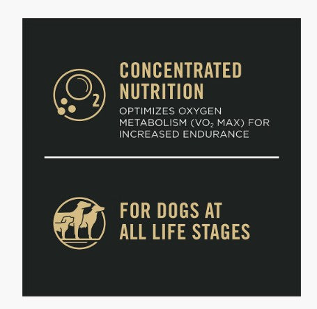 Alimento seco para perros con fórmula de salmón y arroz 30/20 para todas las edades Pro Plan Sport Performance - Mascotito PR