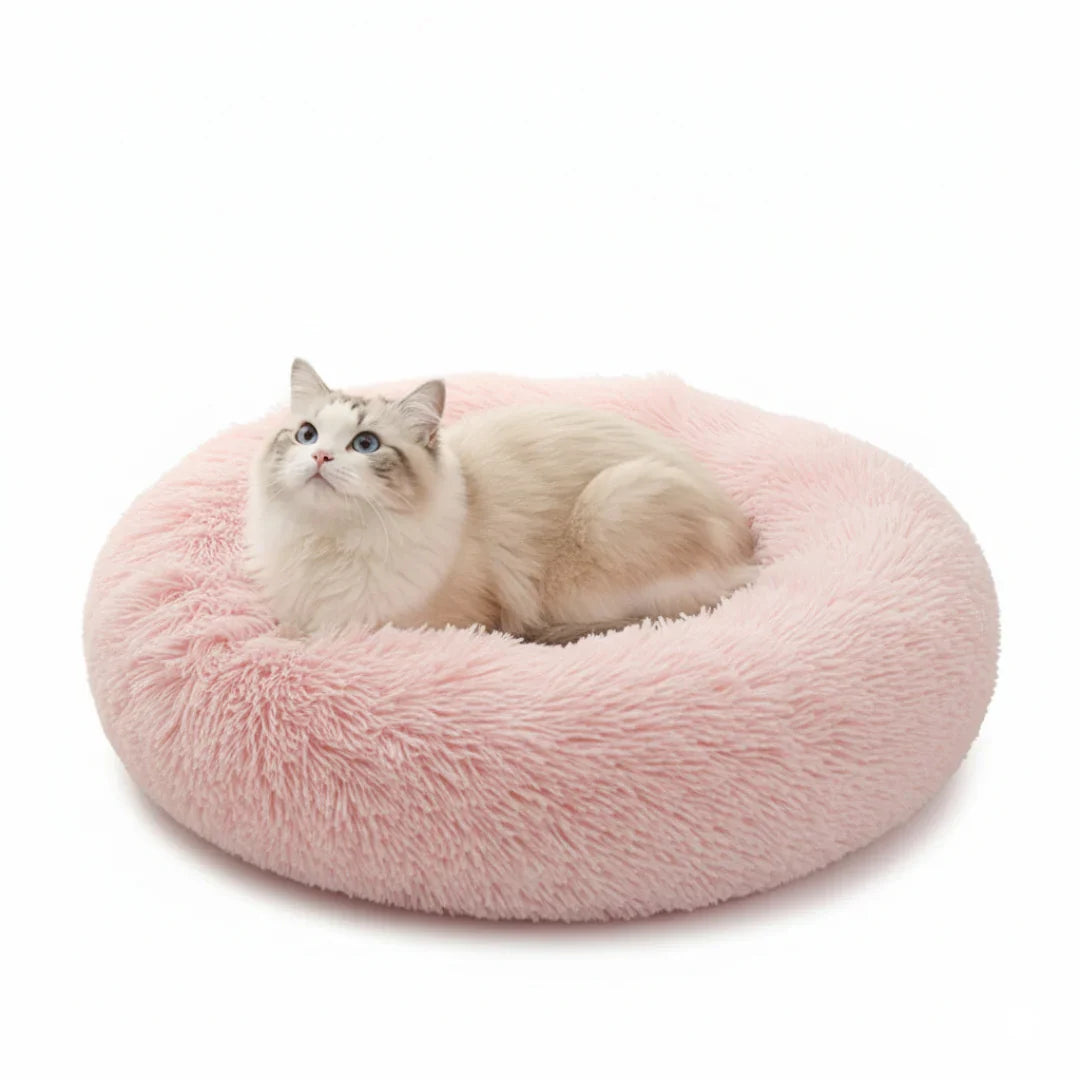 Supplies para Gatos