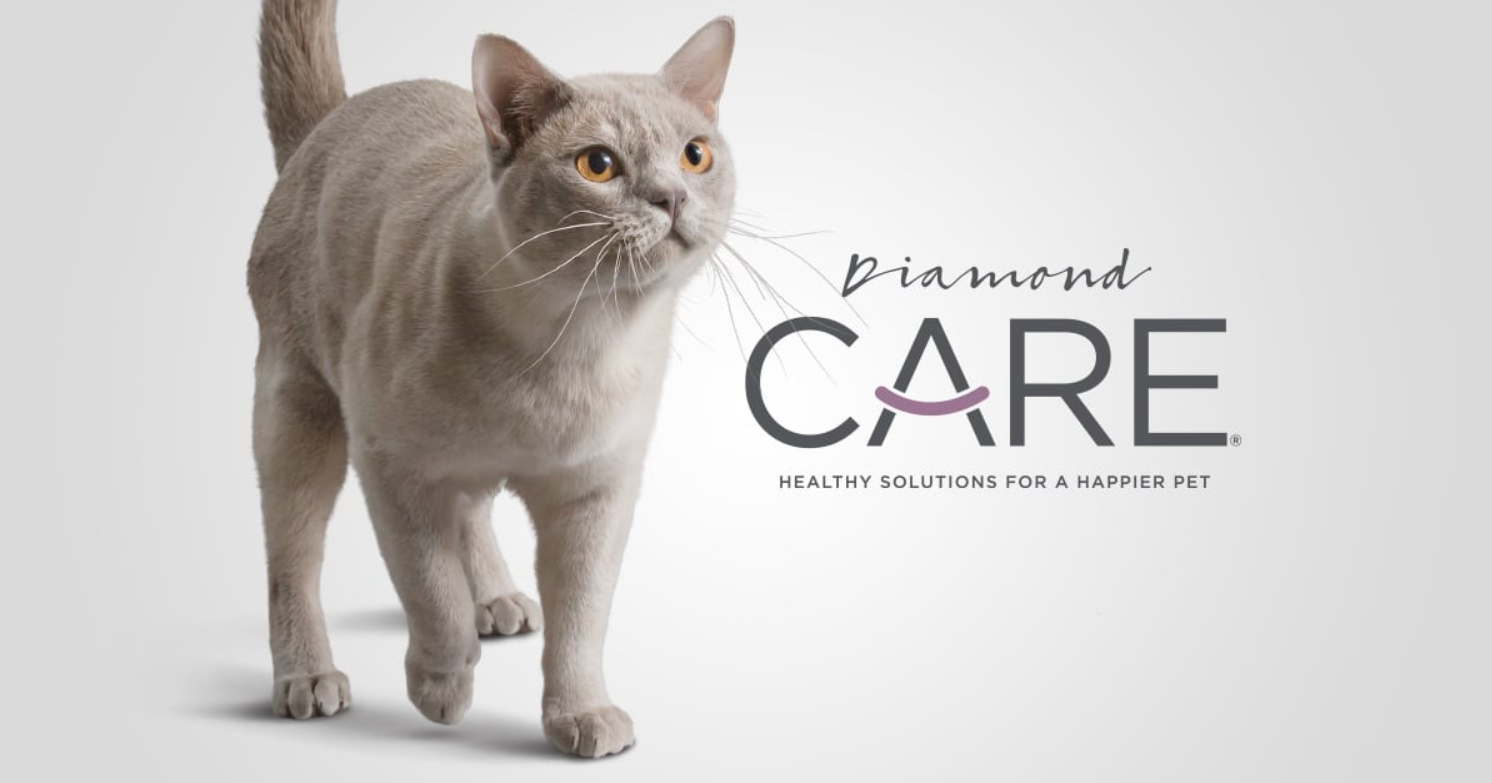 Diamond Cats