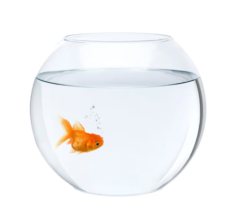 Conditioner Water para Peces