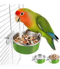 Platos & Bowls para Aves