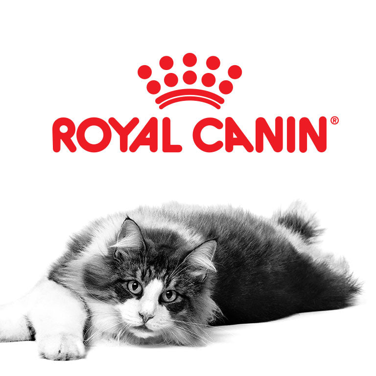 Royal Canin para Gatos
