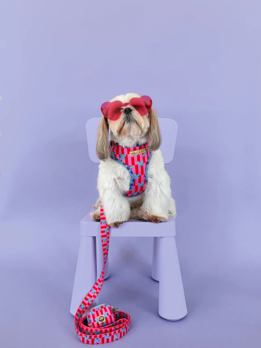 Molly & Co. Supernova - Adjustable Dog Harness