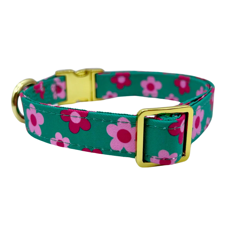 Molly & Co. Petunia - Dog Collar