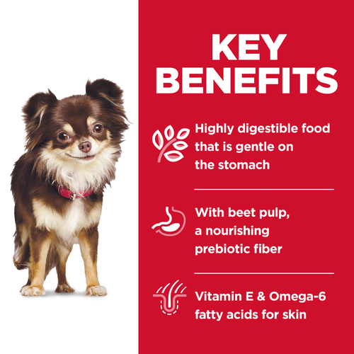 Adult Sensitive Stomach & Skin Small & Mini Chicken Recipe Dog Food