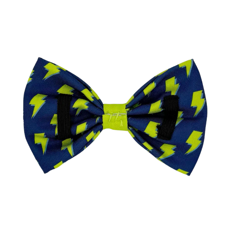 Bolt - Dog Bowtie