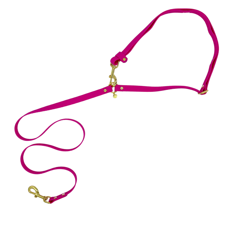 Bubblegum - Splashproof Handsfree Dog Leash