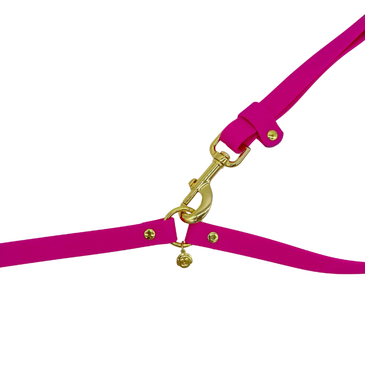 Molly & Co. Bubblegum - Splashproof Handsfree Dog Leash