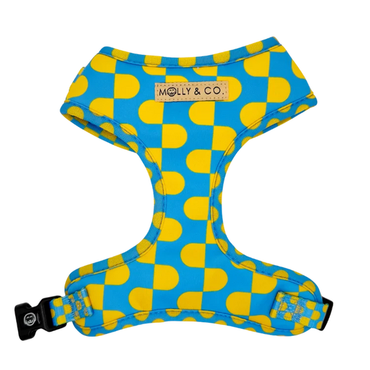 Molly and Co. Sunrise - Adjustable Dog Harness