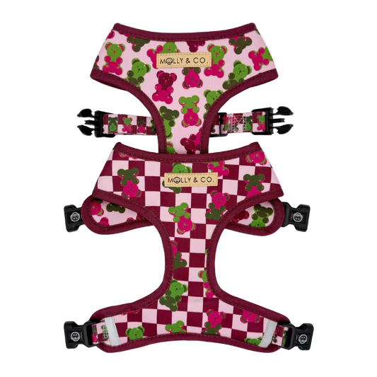 Molly & Co. Gummy Bears - Reversible Dog Harness