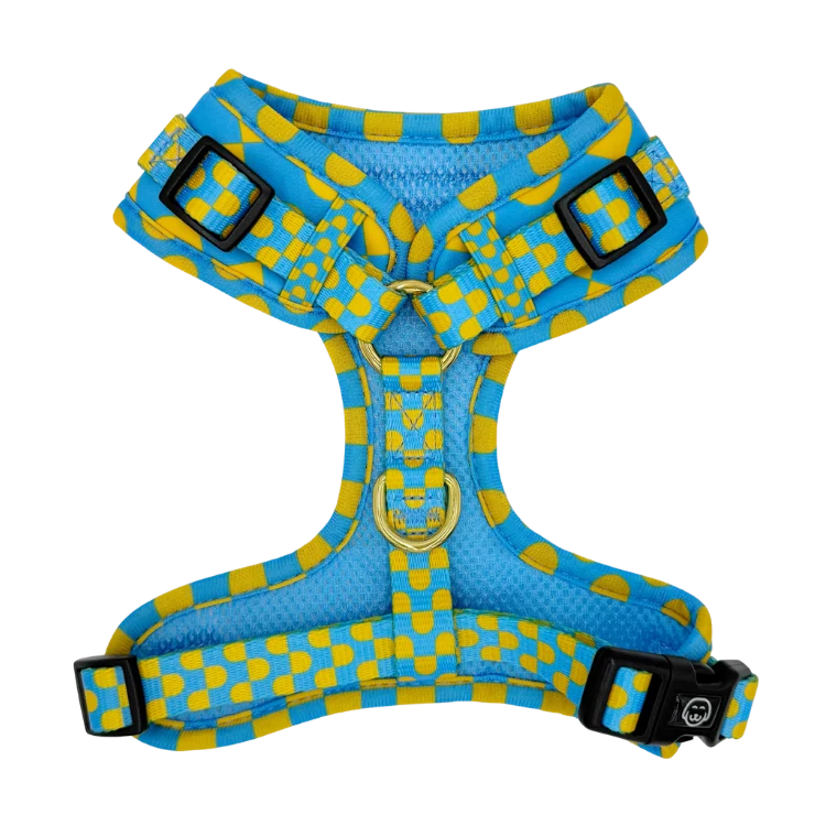 Molly and Co. Sunrise - Adjustable Dog Harness