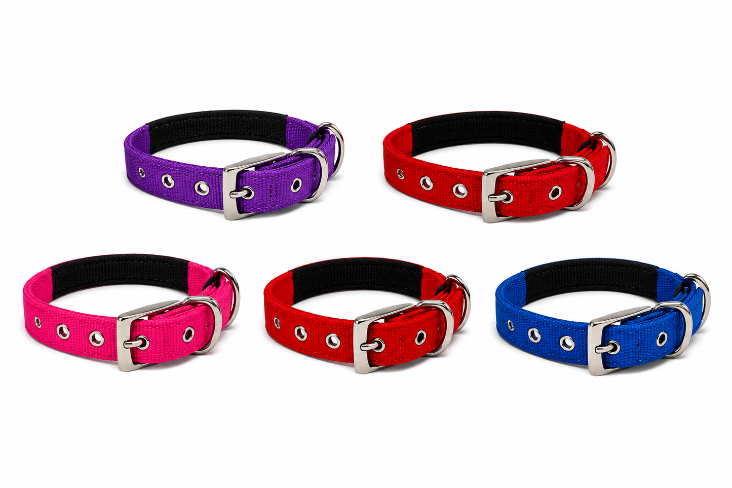 PADIN DOG COLLARS