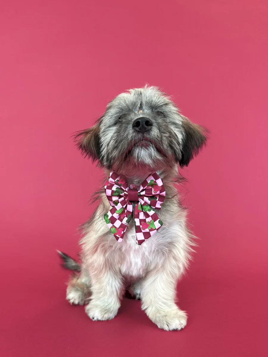 Gummy Bears - Dog Sailor Bowtie