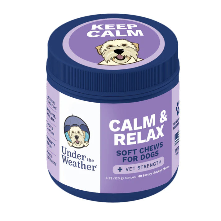 Calming Chews for Dogs Under the Weather