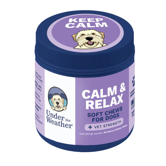 Calming Chews for Dogs Under the Weather