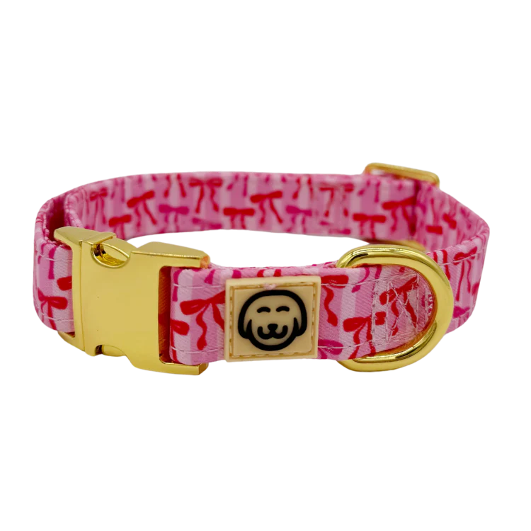 Coquette - Dog Collar