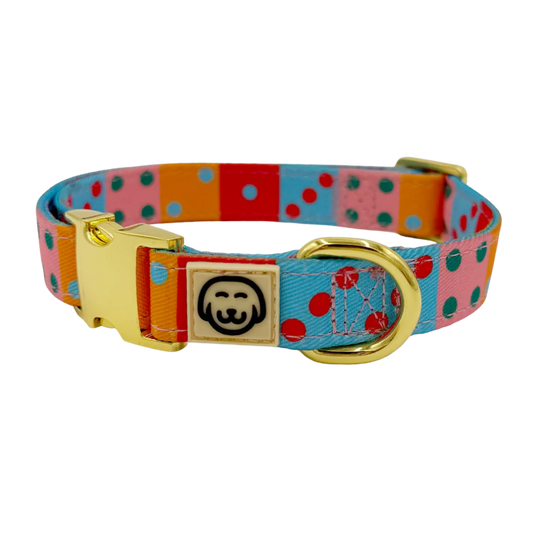 Doble Seis - Dog Collar